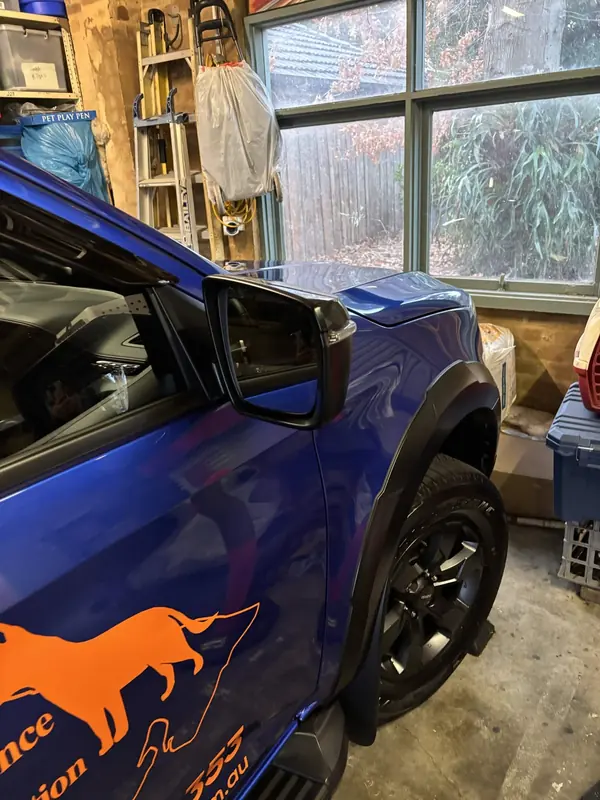 Rear door and guard of the blue D-Max